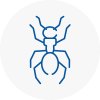 Ant Removals In Alton