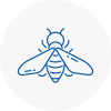 Bee Nest Removal Alton