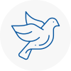 Bird Prevention Alton