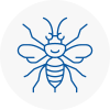 Alton Hornet Nest Removals