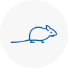 Mice Exterminators In Alton