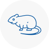 Rat Control Alton