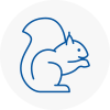 Alton Rodent Removals