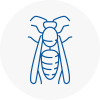 Alton Wasp Nest Removal